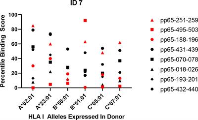 Discordance Between the Predicted Versus the Actually Recognized CD8+ T Cell Epitopes of HCMV pp65 Antigen and Aleatory Epitope Dominance